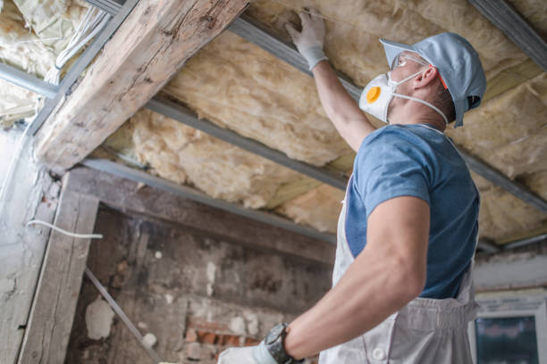 Best Attic Insulation Installation  in Orlovista, FL