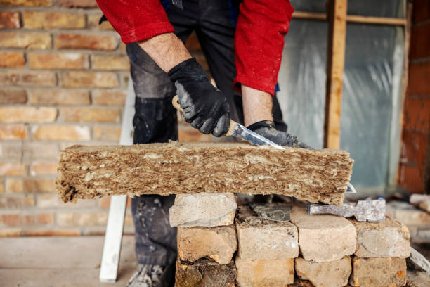 Best Wall Insulation Contractor  in Orlovista, FL